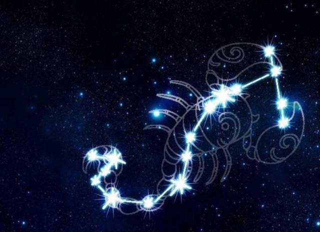 天蝎主机是什么意思
