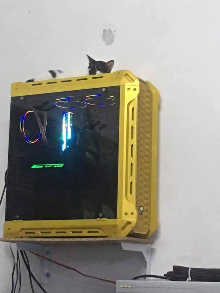 自己不会用怪主机