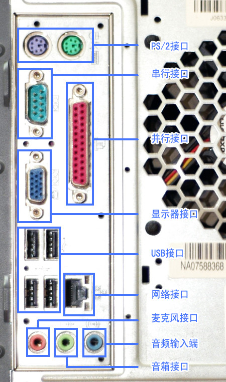 网线插主机哪里去