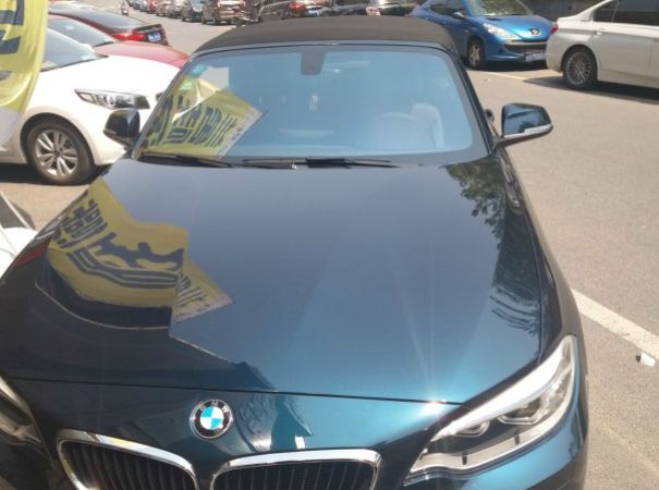 什么车是蓝宝原车主机